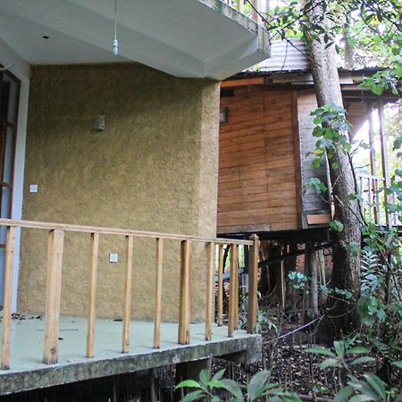 Seasons Four Mini Jungle Cabana マータラ エクステリア 写真