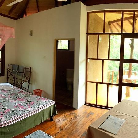 Seasons Four Mini Jungle Cabana マータラ エクステリア 写真