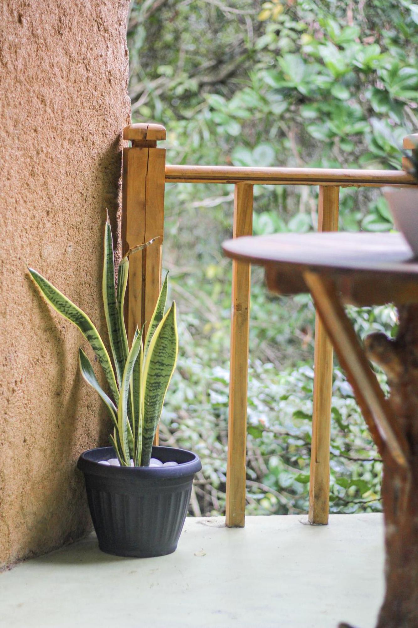 Seasons Four Mini Jungle Cabana マータラ エクステリア 写真