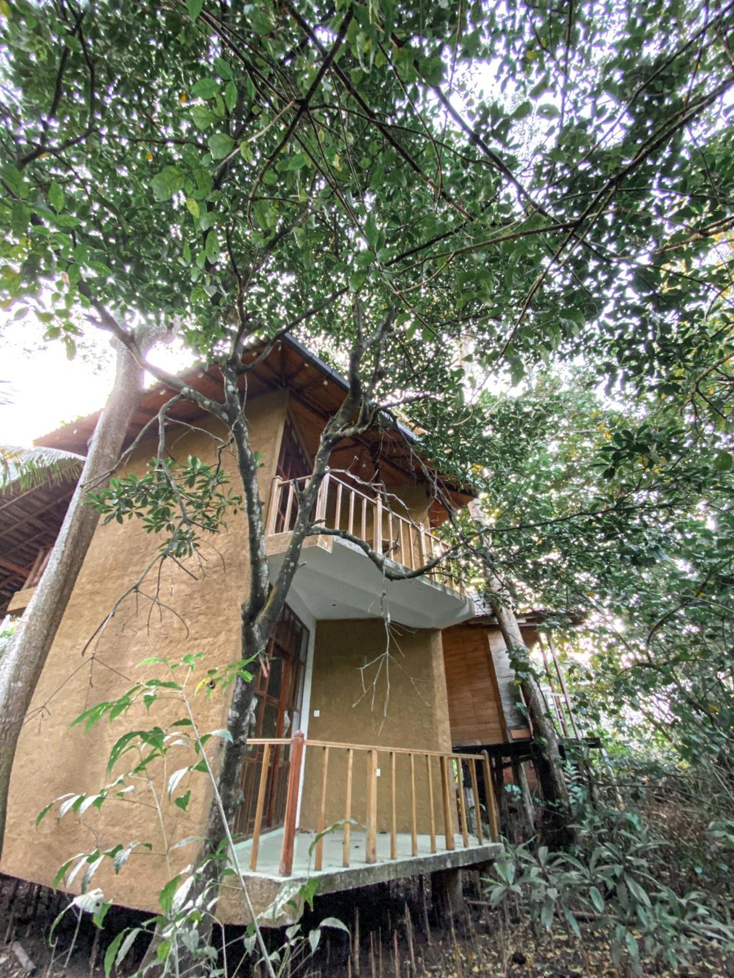 Seasons Four Mini Jungle Cabana マータラ エクステリア 写真