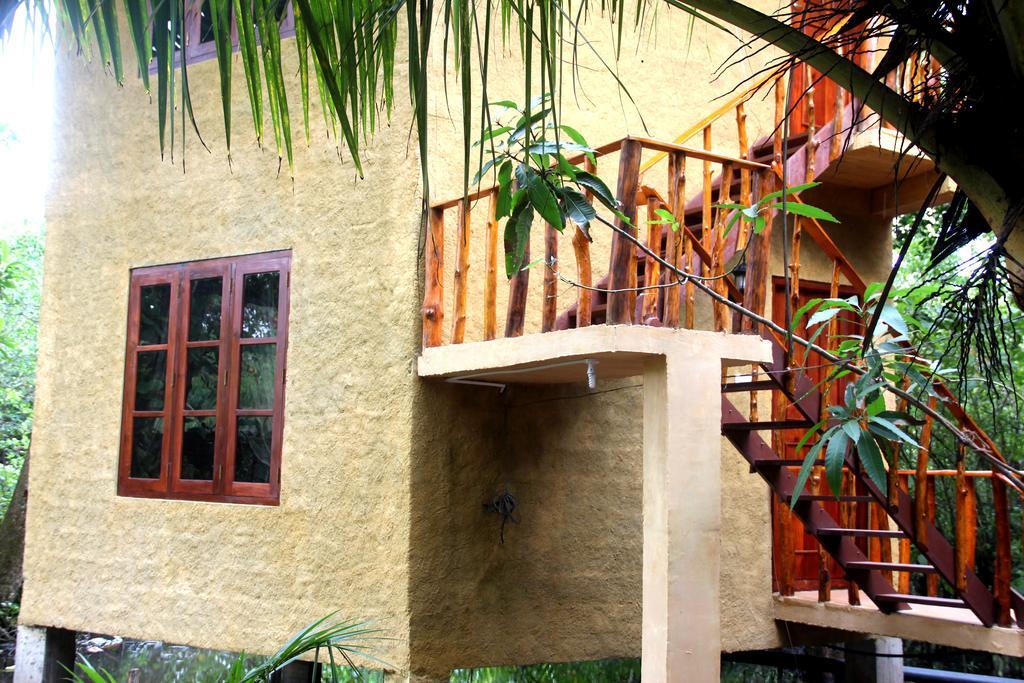 Seasons Four Mini Jungle Cabana マータラ エクステリア 写真