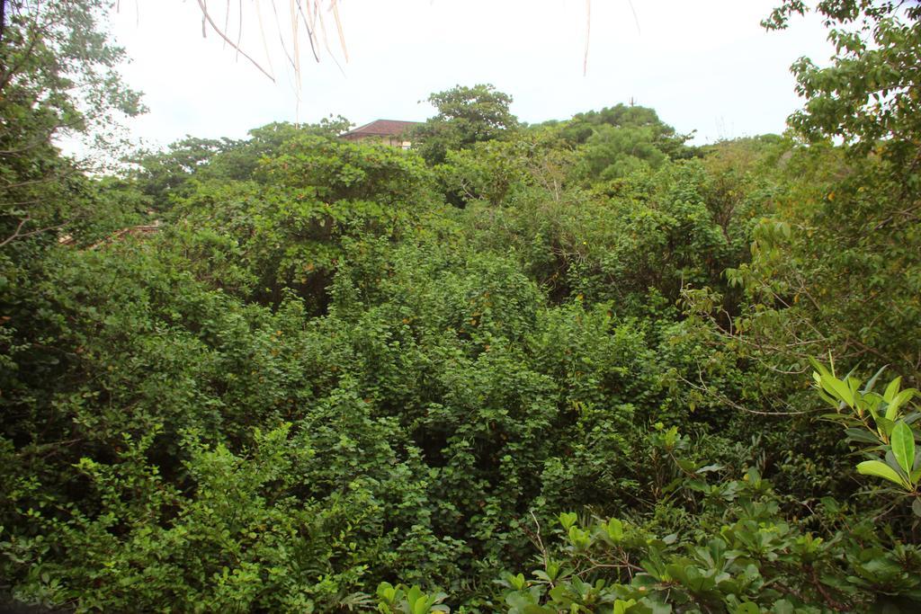 Seasons Four Mini Jungle Cabana マータラ エクステリア 写真
